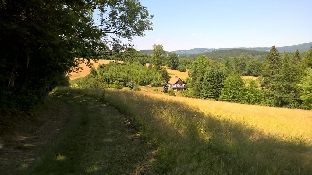 Вилла Chalet Lomy Нове-Место-над-Метуйи Номер фото